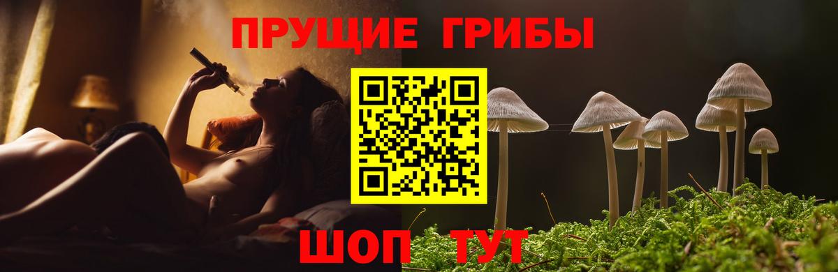 Псилоцибиновые грибы мухоморы Бузулук